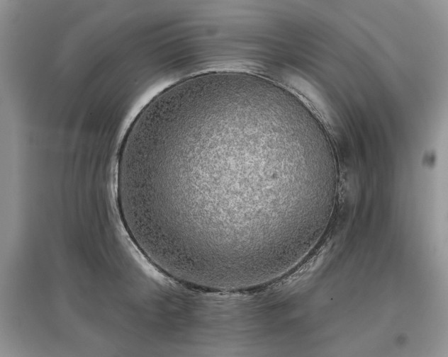 X0000097610804200803071448