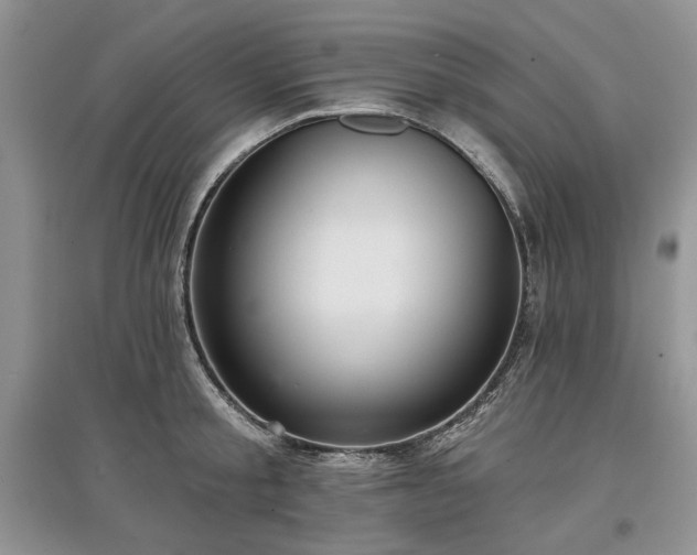 X0000097610805200803071448