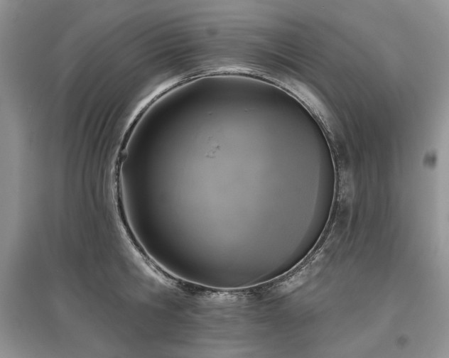 X0000097610806200803071448