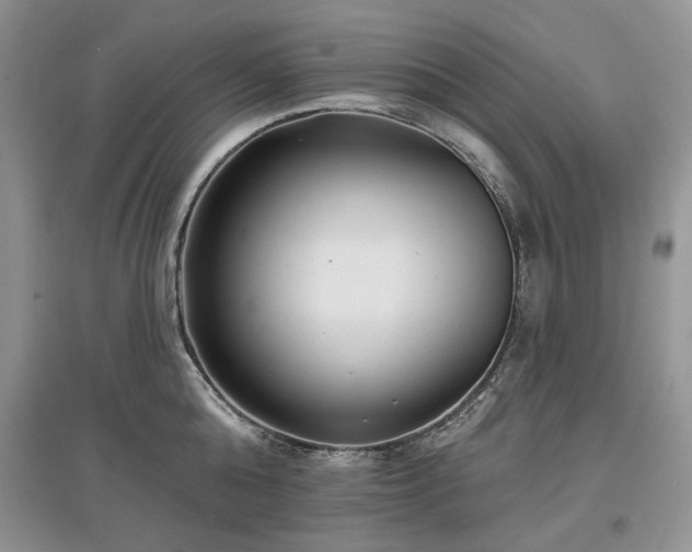 X0000097610808200803071448
