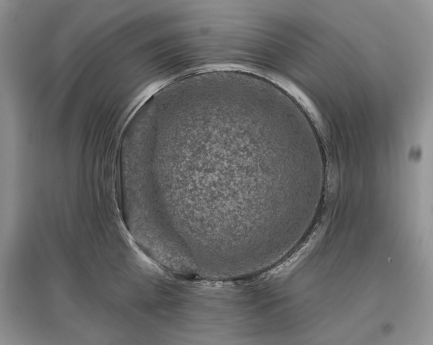 X0000097610809200803071448