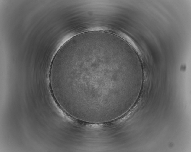 X0000097610810200803071448