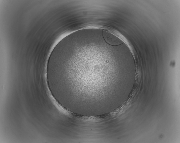 X0000097610811200803071448