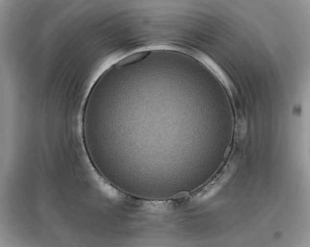 X0000097610813200803071448