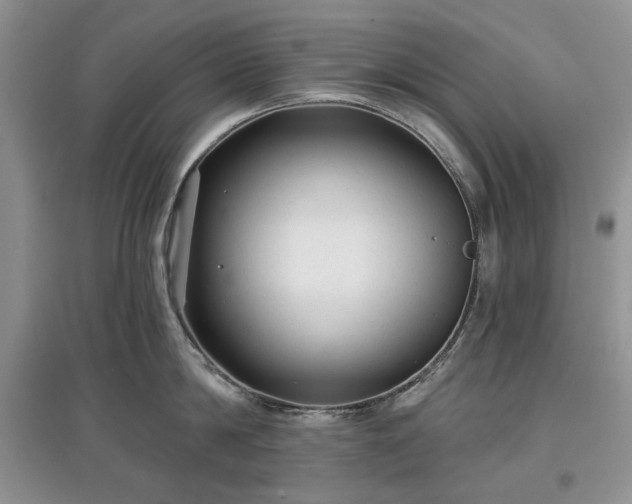 X0000097610814200803071448