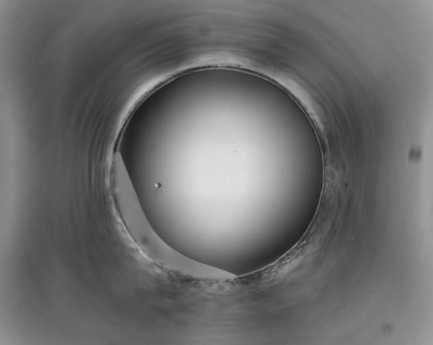 X0000097610815200803071448