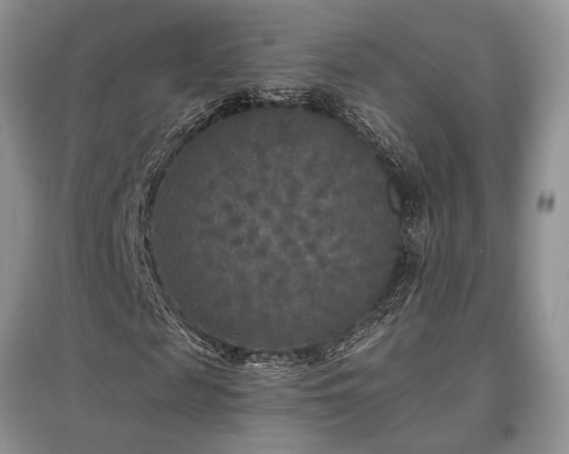 X0000097610817200803071448