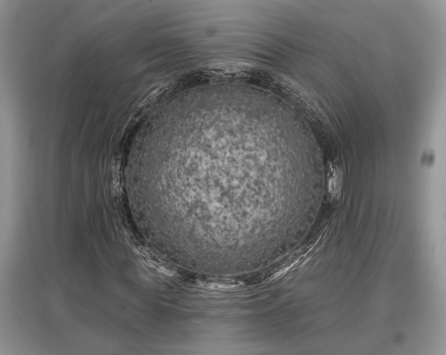 X0000097610819200803071448