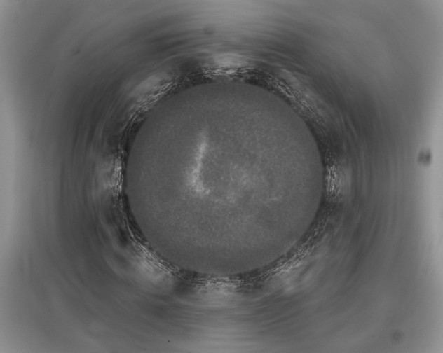 X0000097610820200803071448