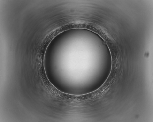 X0000097610821200803071448