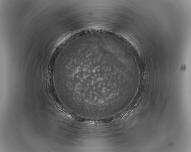 X0000097610823200803071448