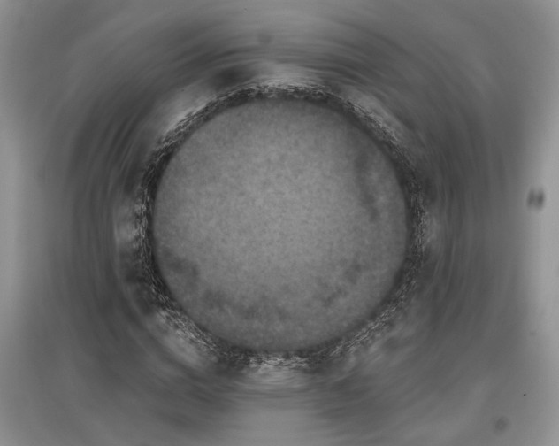 X0000097610824200803071448