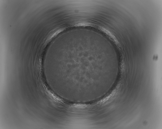 X0000097610825200803071448