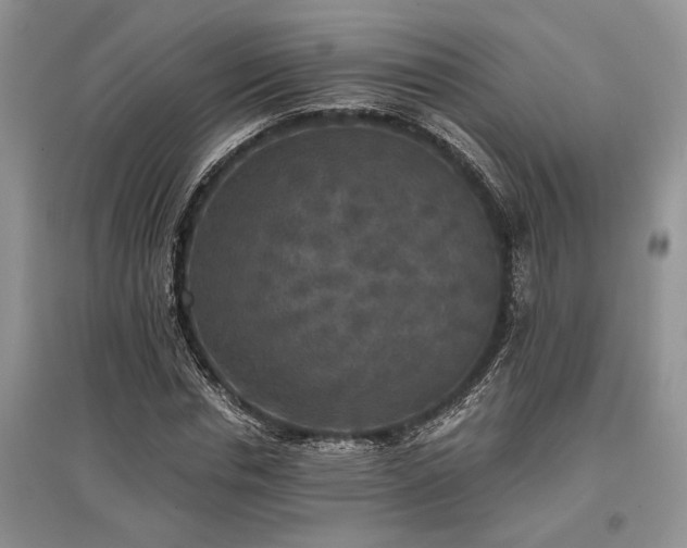 X0000097610826200803071448