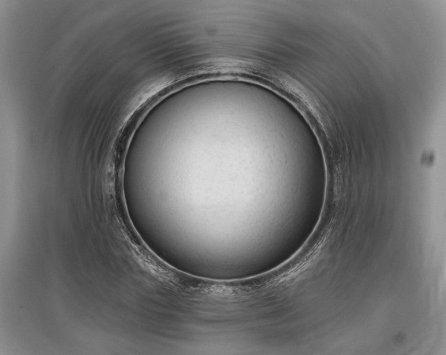 X0000097610827200803071448
