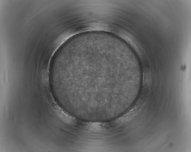 X0000097610828200803071448