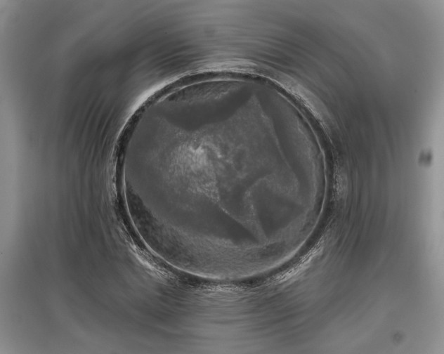 X0000097610830200803071448