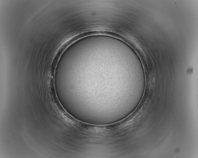 X0000097610831200803071448