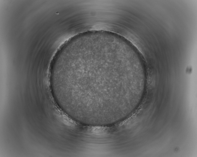 X0000097610832200803071448