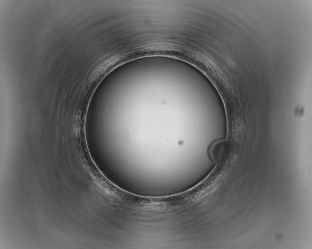 X0000097610833200803071448