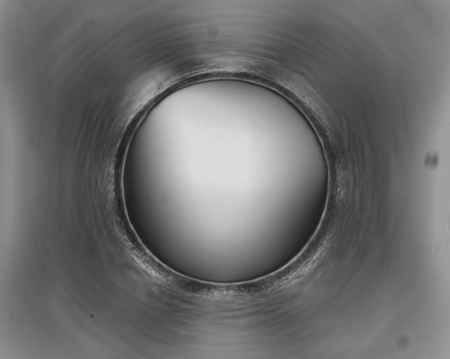 X0000097610834200803071448