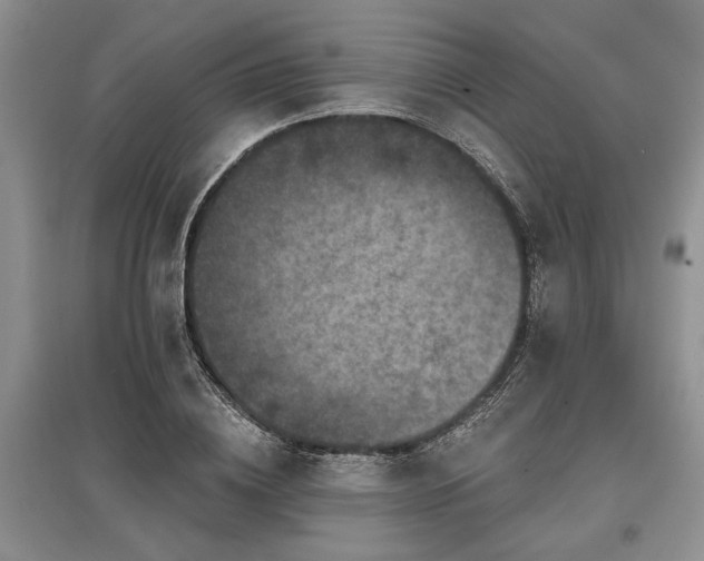 X0000097610836200803071448