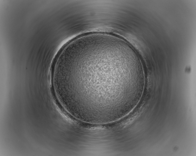 X0000097610838200803071448