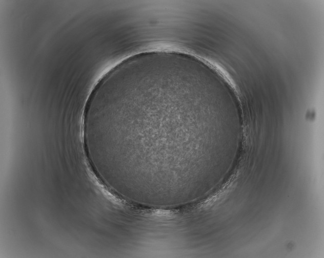 X0000097610839200803071448