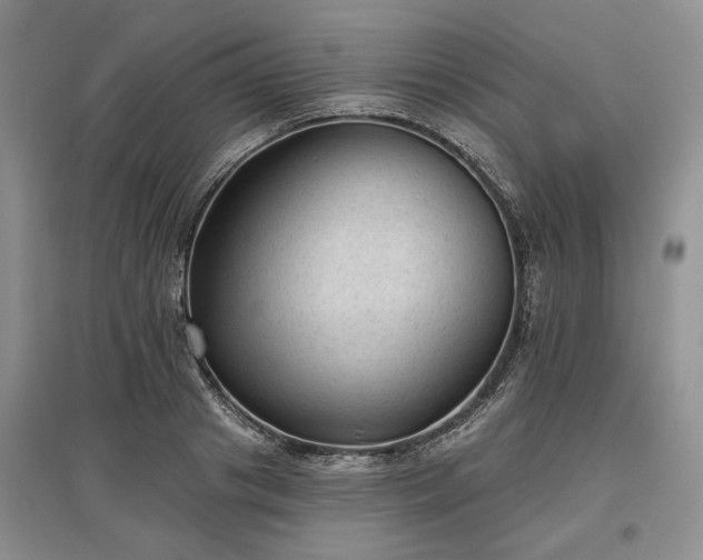X0000097610841200803071448