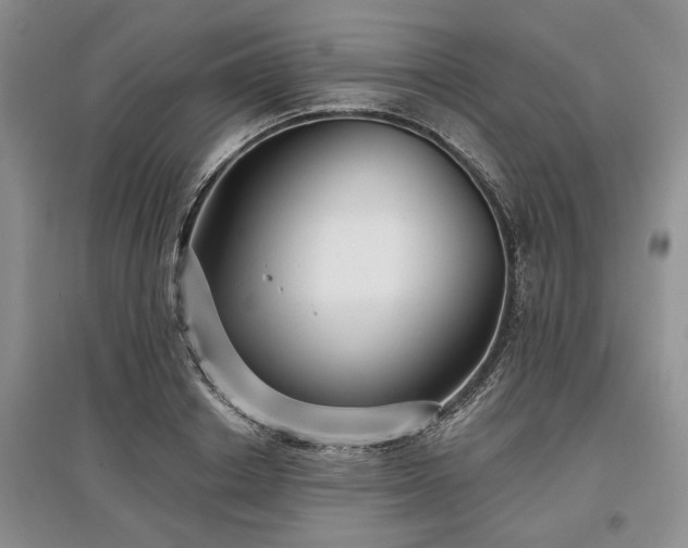 X0000097610842200803071448