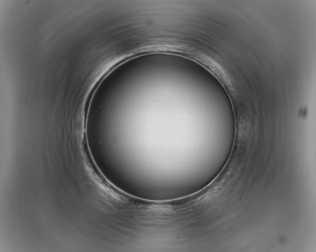X0000097610844200803071448