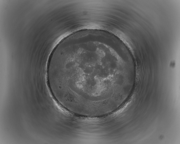 X0000097610845200803071448