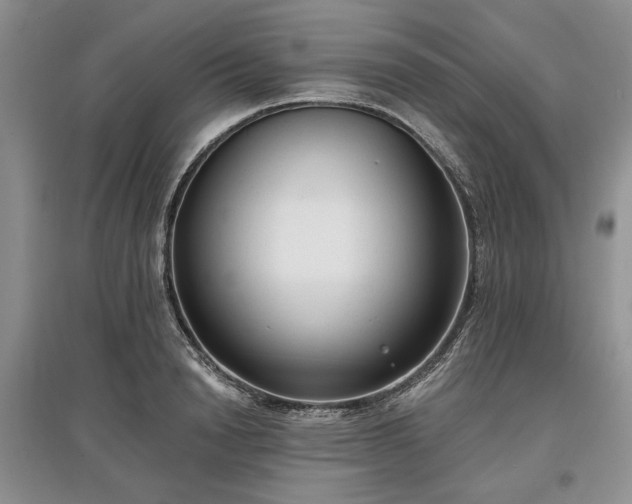 X0000097610846200803071448