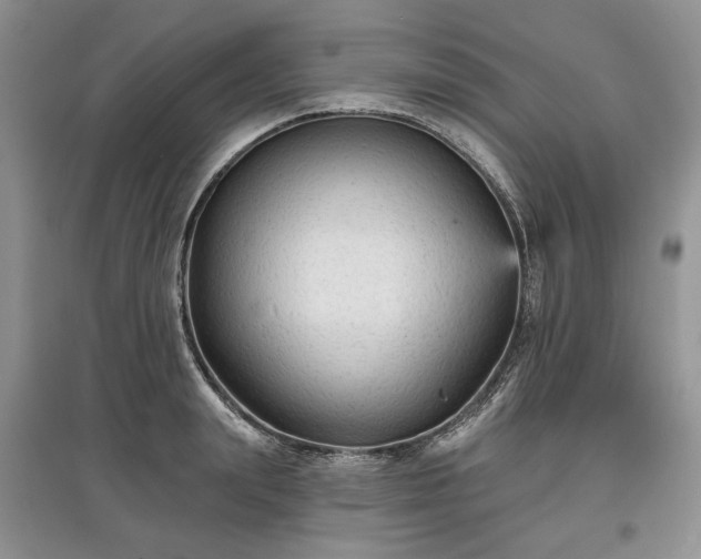X0000097610847200803071448