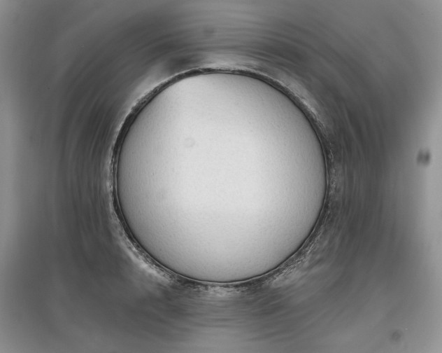 X0000097610848200803071448