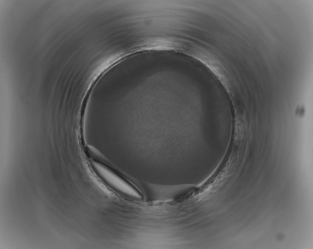 X0000097610850200803071448