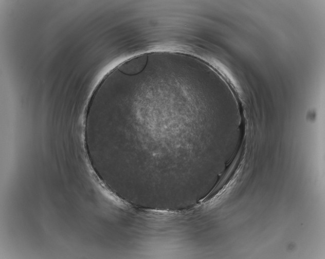 X0000097610854200803071448