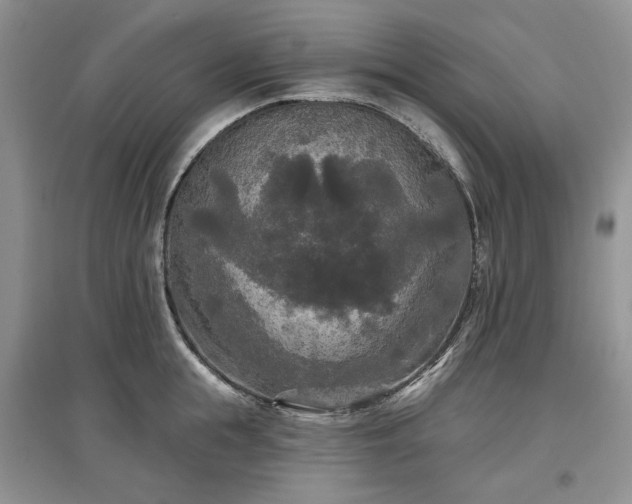 X0000097610855200803071448