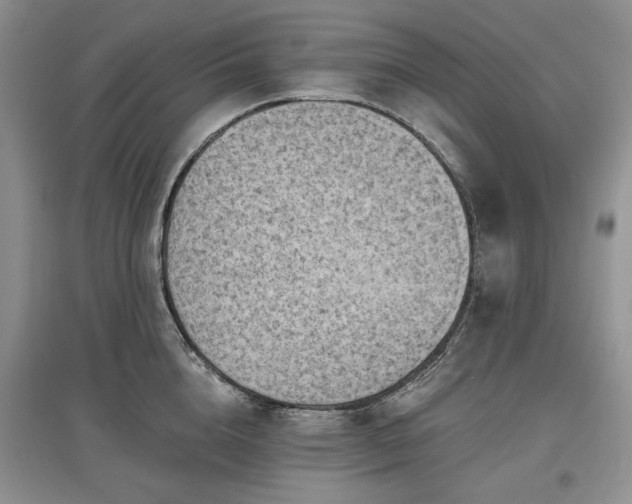 X0000097610856200803071448