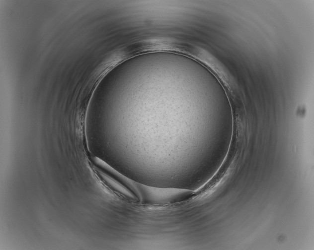 X0000097610857200803071448