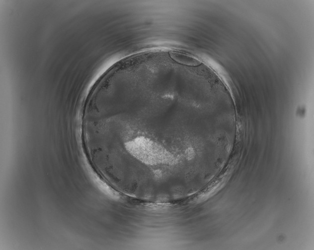 X0000097610859200803071448