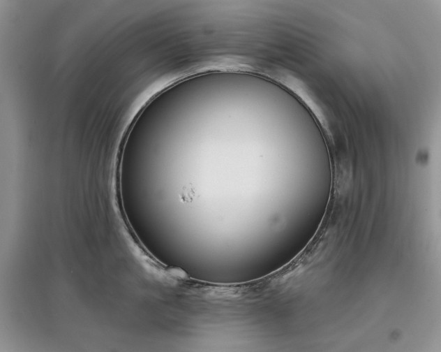 X0000097610861200803071448