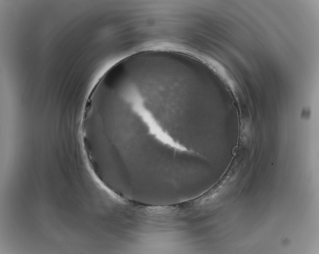 X0000097610863200803071448