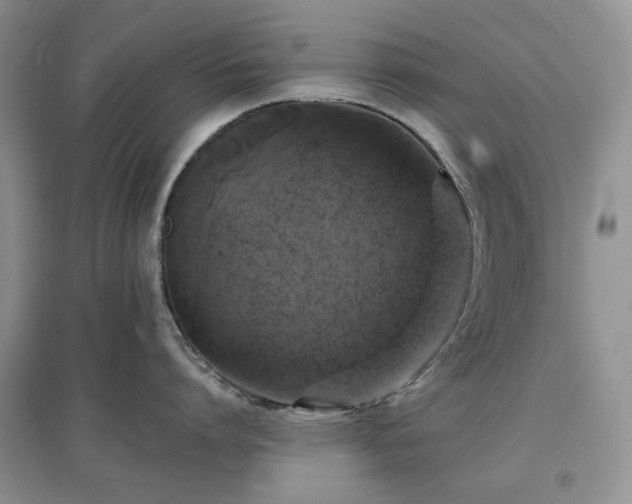 X0000097610864200803071448