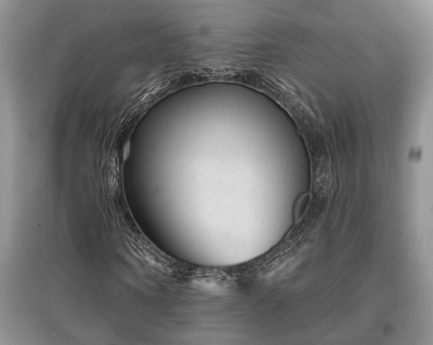 X0000097610866200803071447