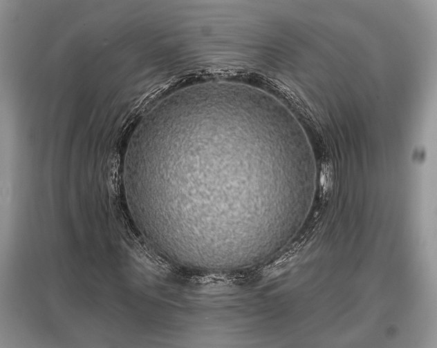 X0000097610867200803071447