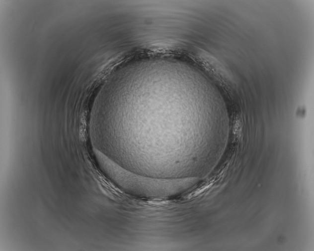 X0000097610868200803071447