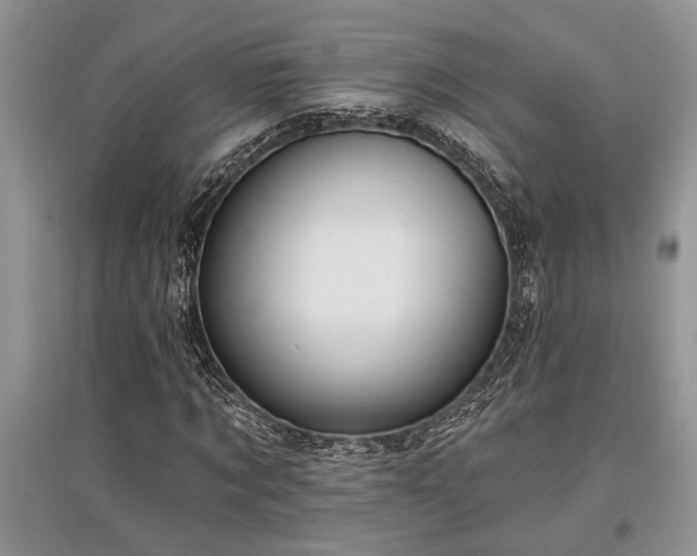 X0000097610869200803071447