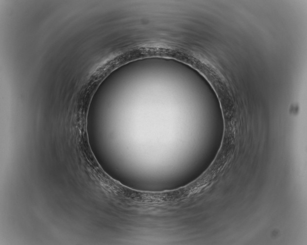 X0000097610870200803071447