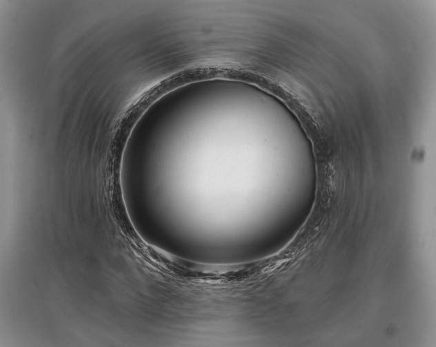 X0000097610872200803071447